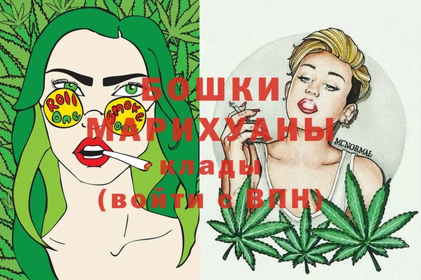 сатива Няндома