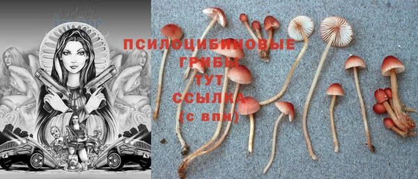 не бодяженный Аркадак