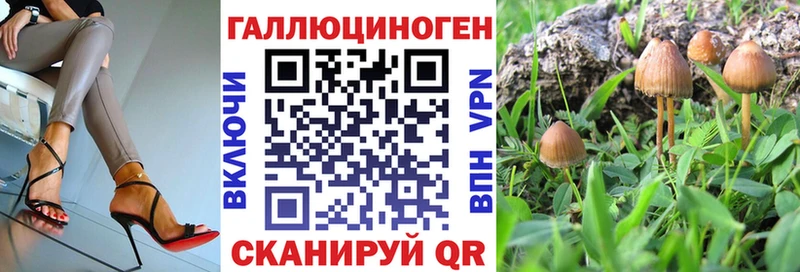 магазин продажи   Мензелинск  Псилоцибиновые грибы Magic Shrooms 